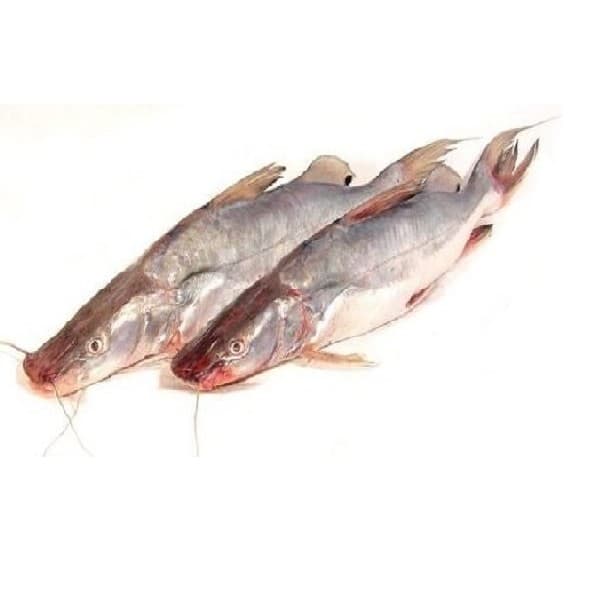 Ayer 1.5UP - Frozen (per kg)