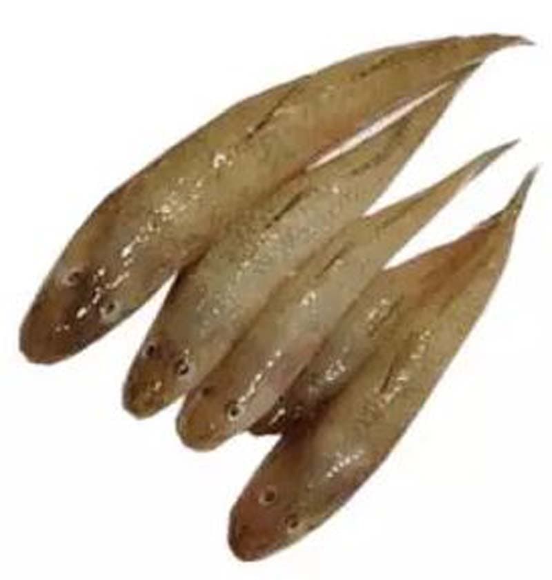 Baila 500g (Frozen)