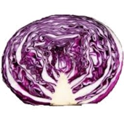 Cabbage Red
