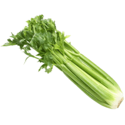 Celery Bunch