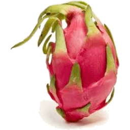 Dragon Fruit