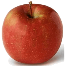 Fuji Apple