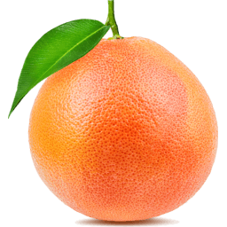 Grapefruit