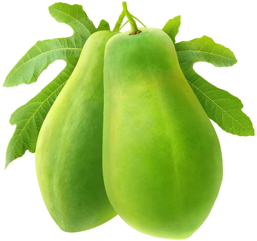 Green Papaya