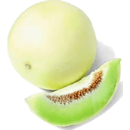 Honey Dew Melon