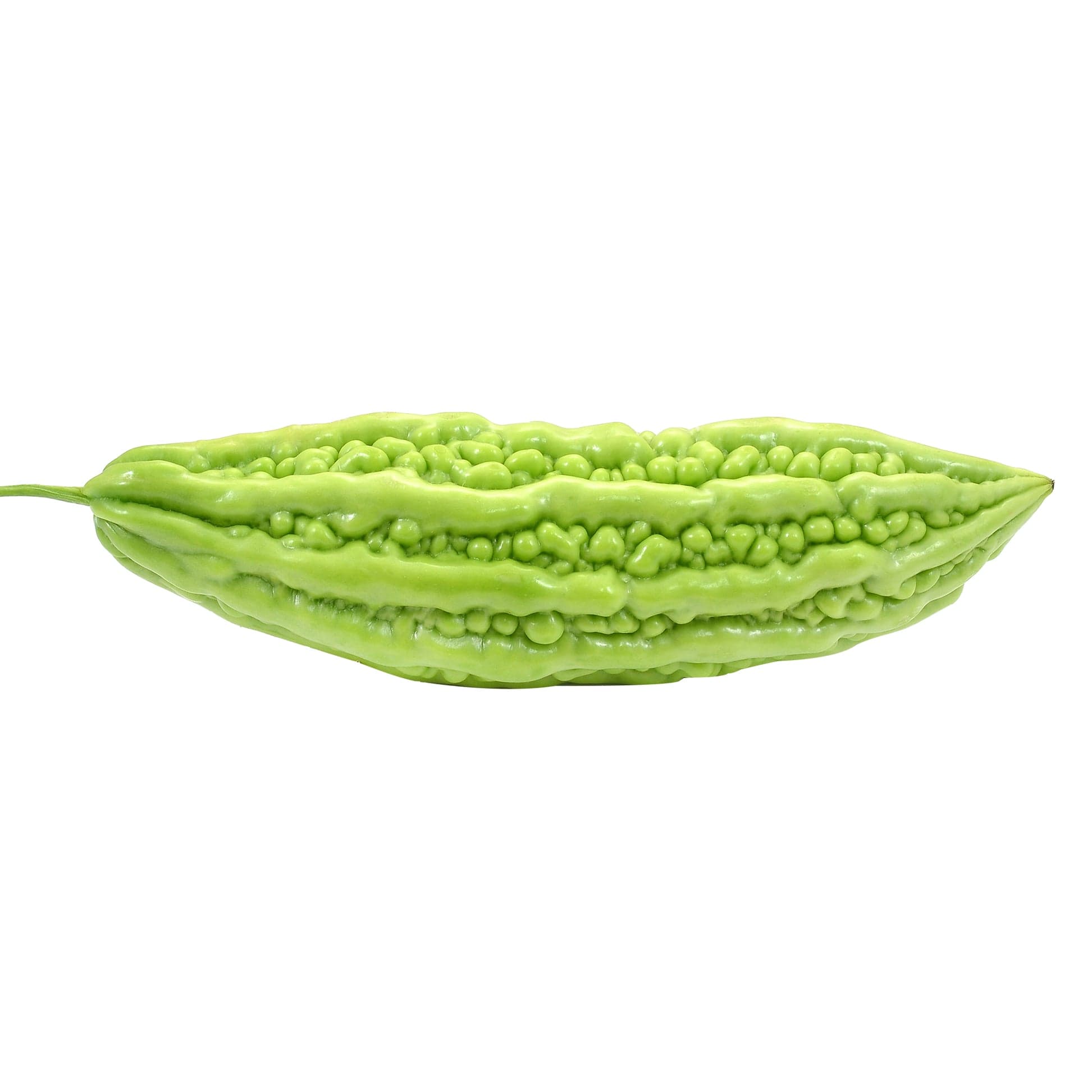 Indian Bittermelon