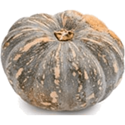 Jap Pumpkin