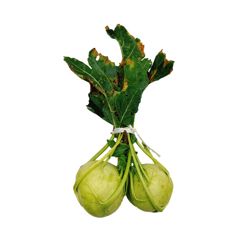 Green Kohlrabi