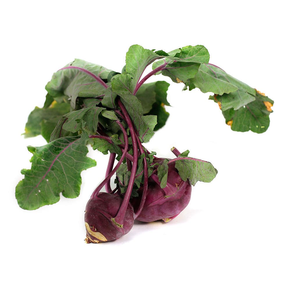 Purple Kohlrabi