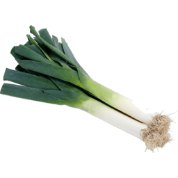 Leeks Bunch