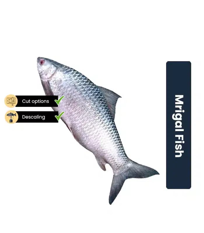 Mirgal Steak (Frozen)