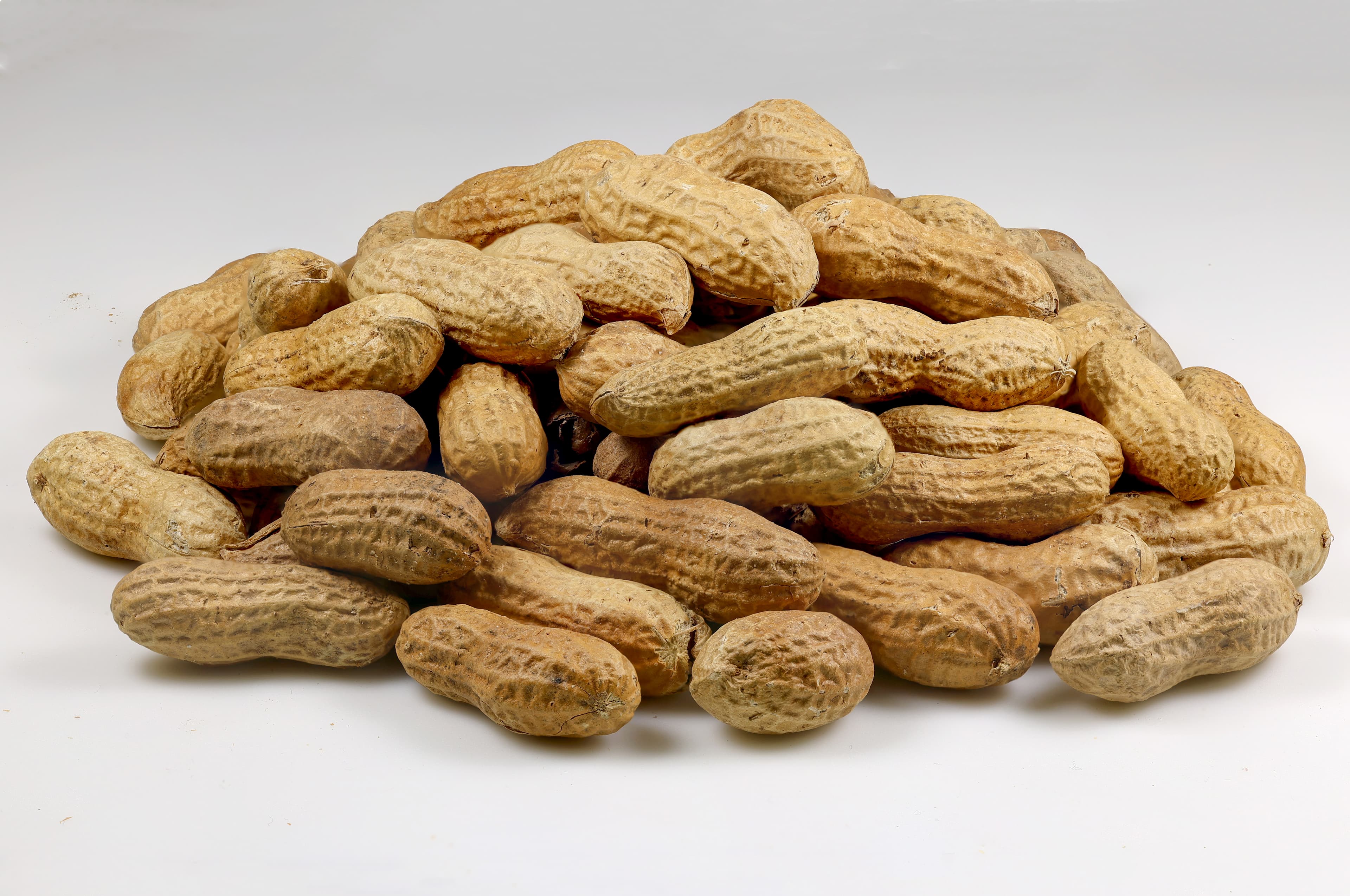 Roasted Peanut With Shell 500gm / Dev