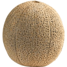 Rockmelon