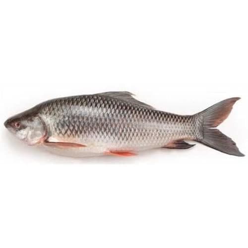 Golden Harvest Rui Fish Bhuna 350g