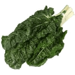 Silverbeet