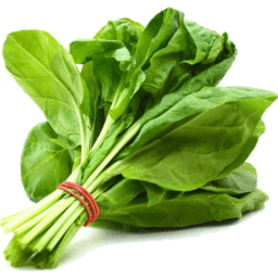 Spinach Bunch