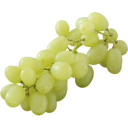 Sweet Globe White Seedless Grapes