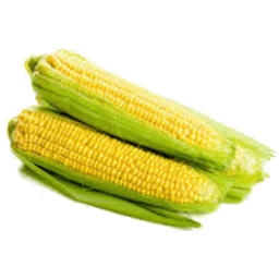 Sweetcorn