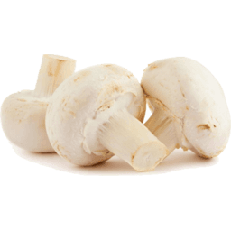 White Mushroom
