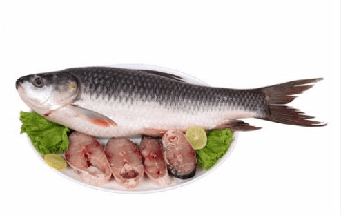 Fish & Seafood